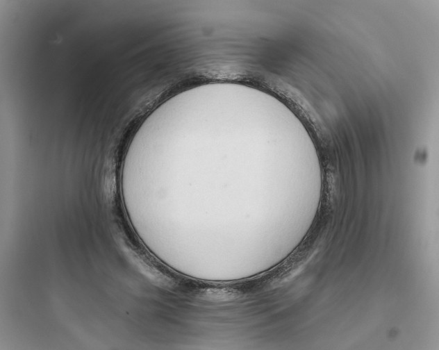 X0000097650541200803211858