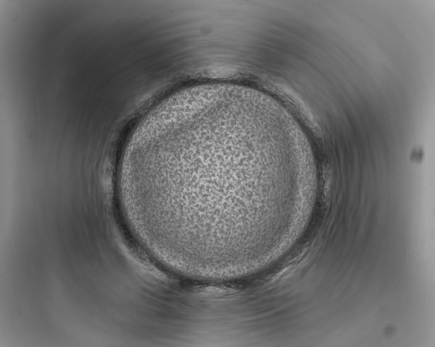 X0000097650542200803211858