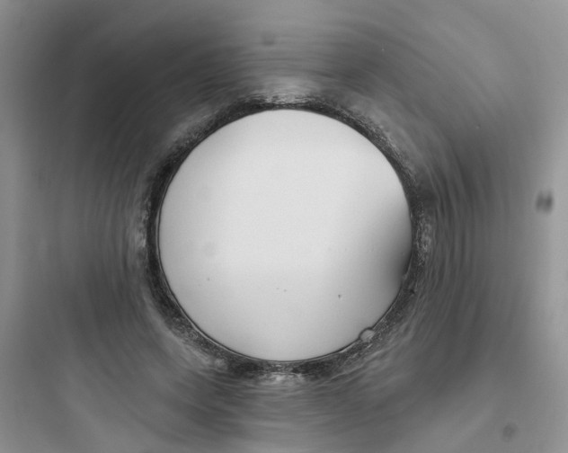 X0000097650543200803211858