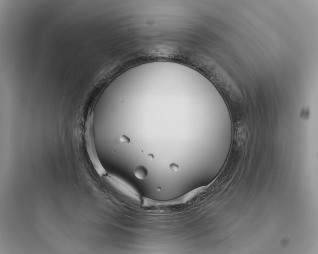 X0000097650544200803211858