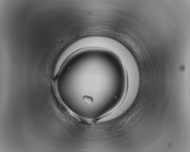 X0000097650546200803211858