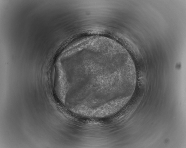 X0000097650547200803211858