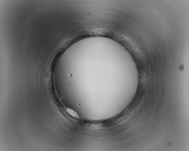 X0000097650548200803211858