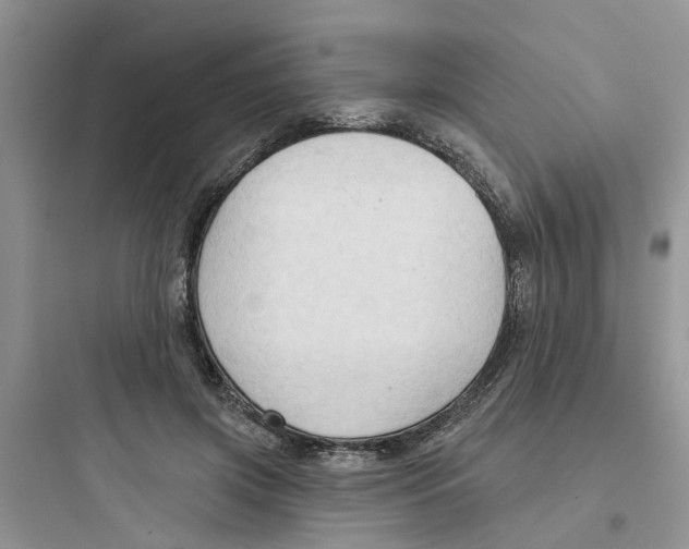 X0000097650549200803211858