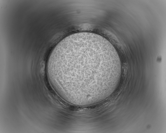 X0000097650550200803211858