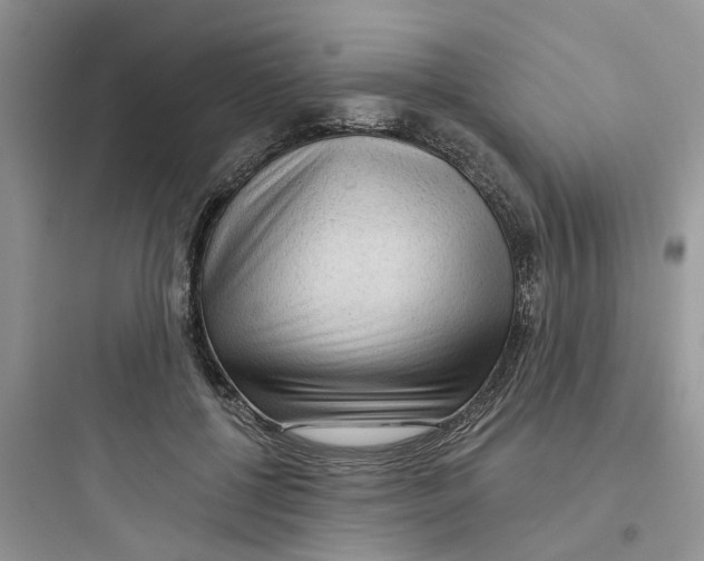 X0000097650552200803211858