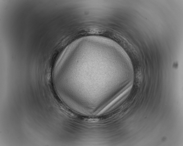 X0000097650554200803211858