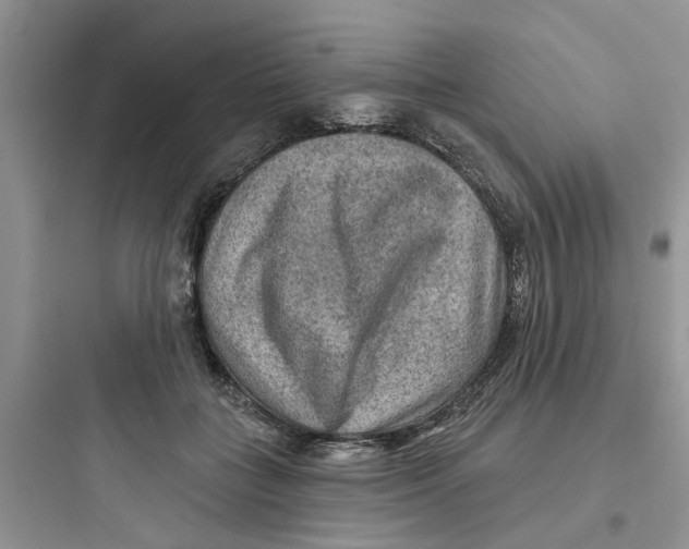 X0000097650555200803211858