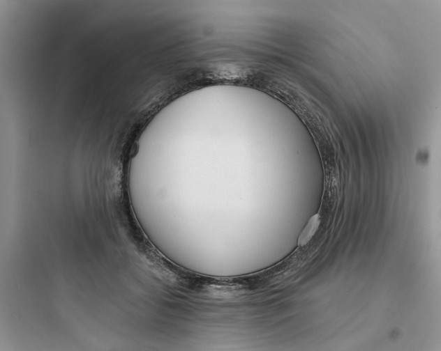 X0000097650556200803211858