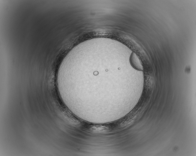 X0000097650557200803211858