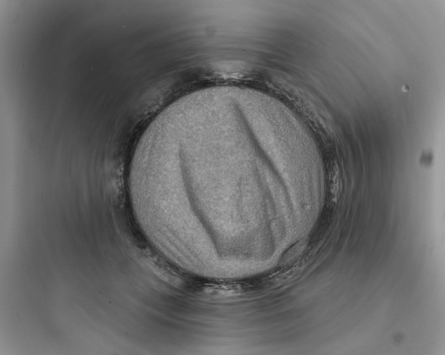 X0000097650559200803211858