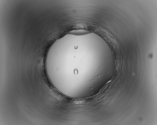 X0000097650560200803211858