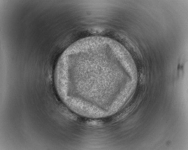 X0000097650561200803211858