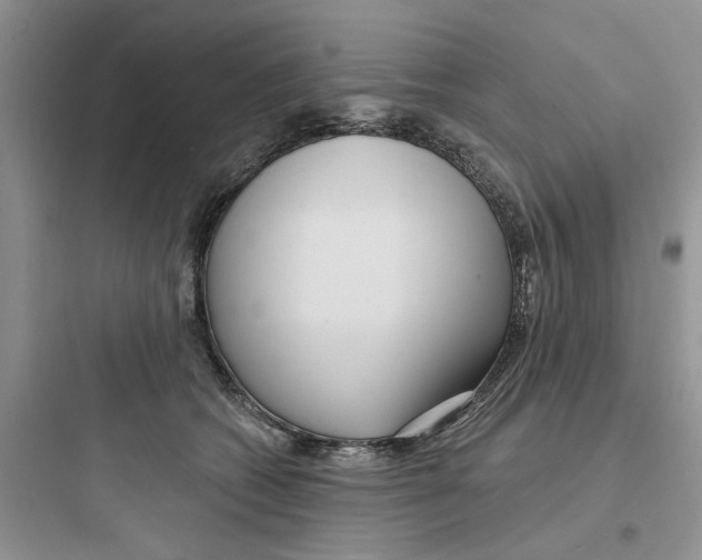 X0000097650562200803211858