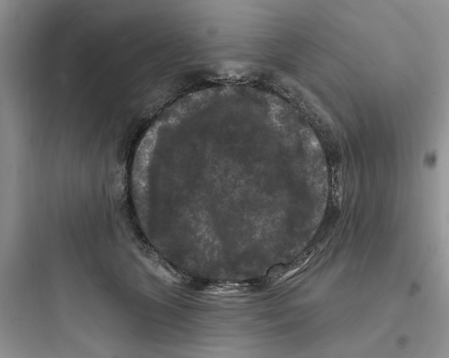 X0000097650563200803211858