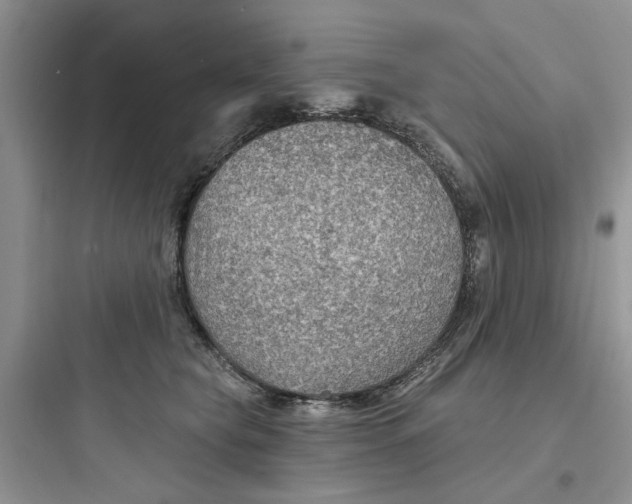 X0000097650565200803211858