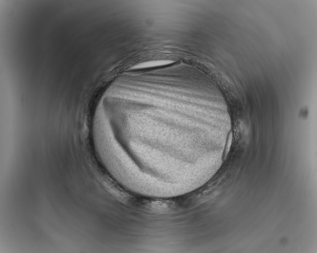 X0000097650566200803211858