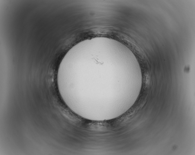 X0000097650567200803211858