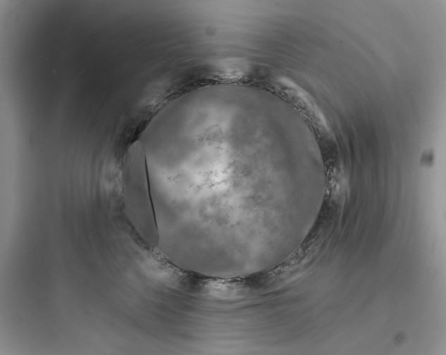 X0000097650568200803211858