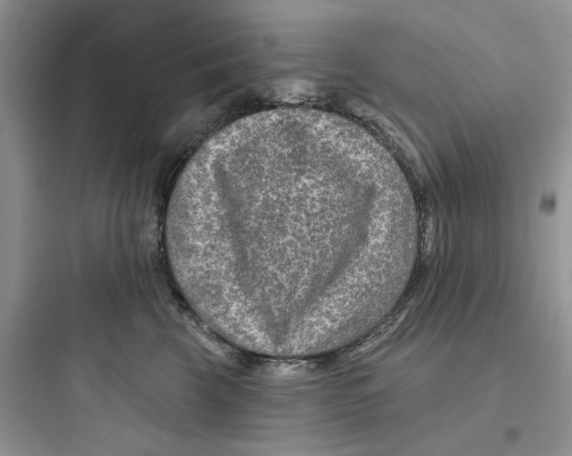 X0000097650569200803211858