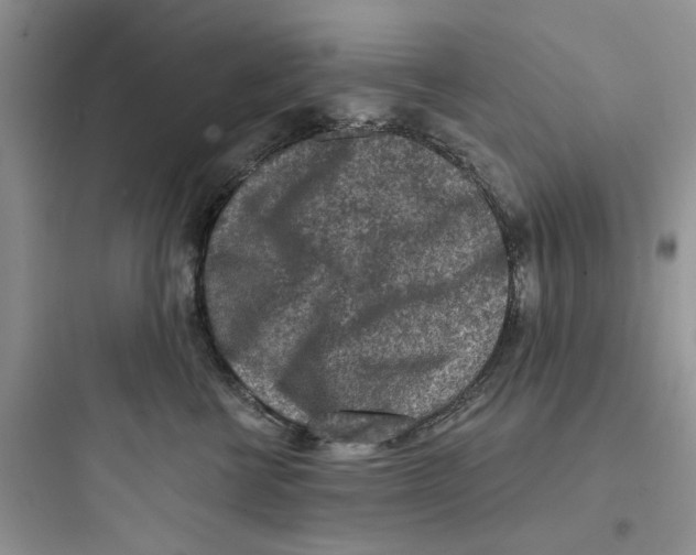 X0000097650570200803211858