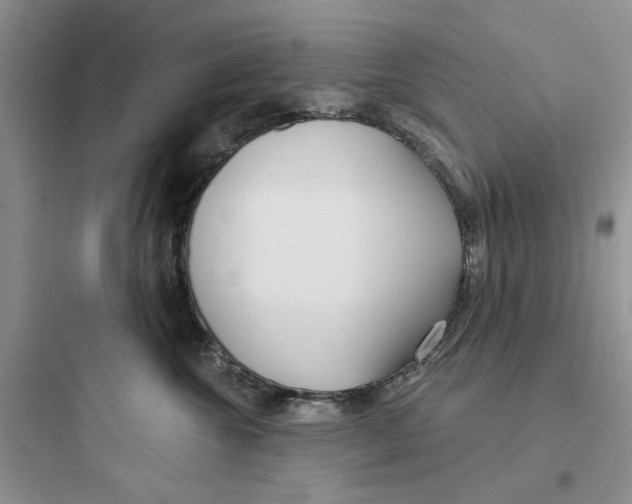 X0000097650572200803211858