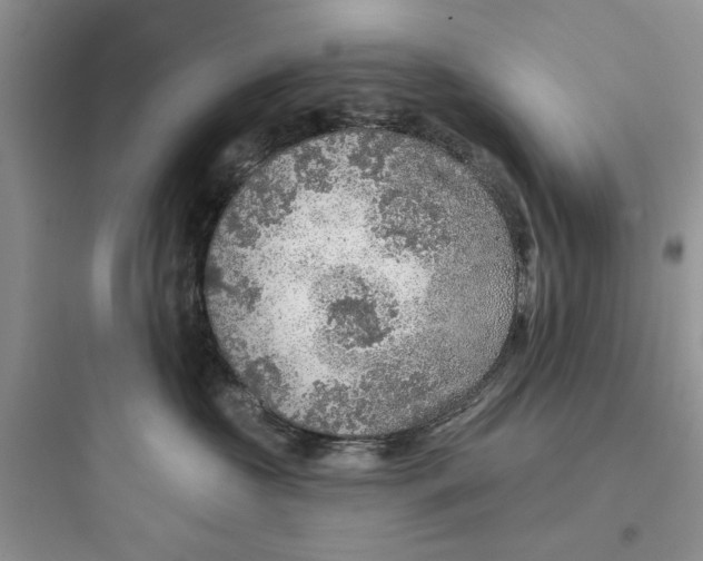 X0000097650573200803211858