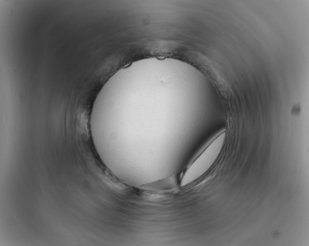 X0000097650575200803211858