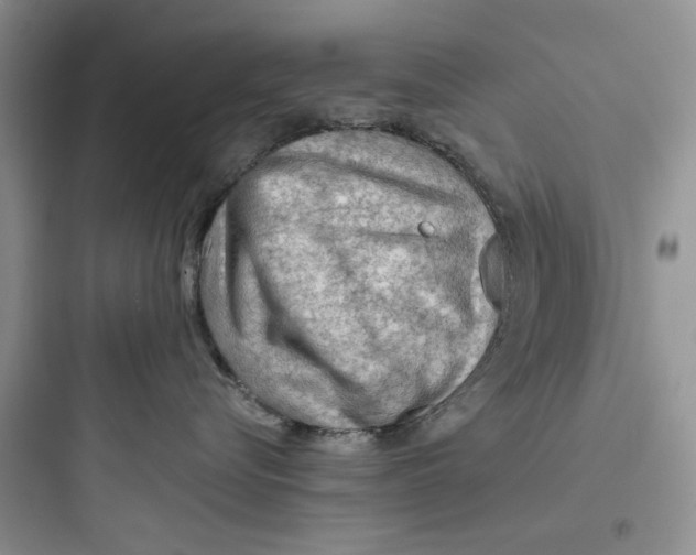 X0000097650576200803211858