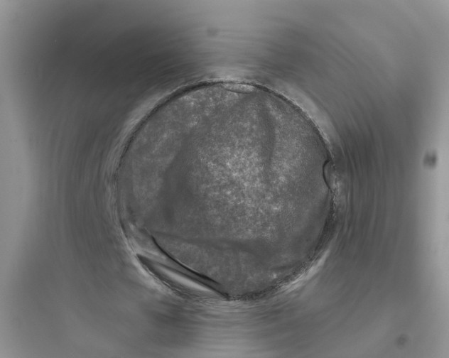 X0000097650577200803211858