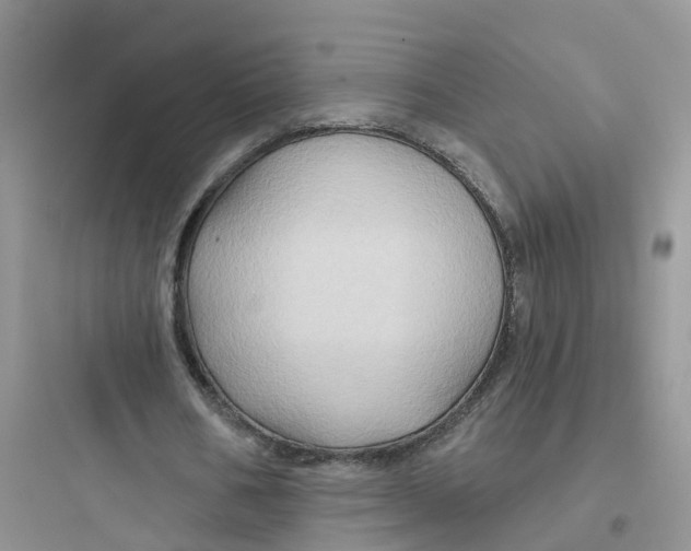 X0000097650578200803211858