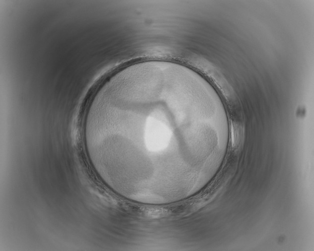 X0000097650579200803211858