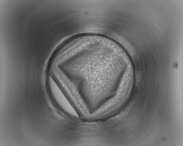 X0000097650580200803211858