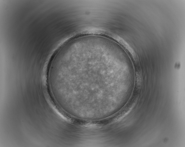 X0000097650581200803211858