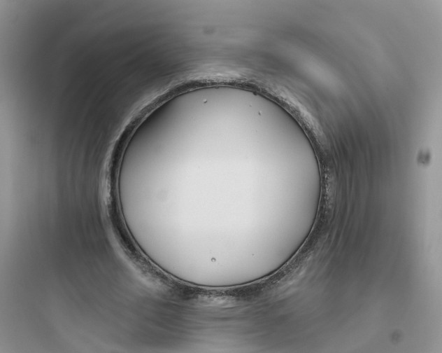 X0000097650582200803211857