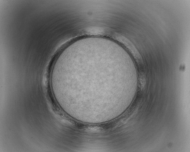 X0000097650583200803211857