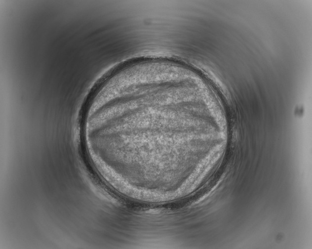 X0000097650584200803211857