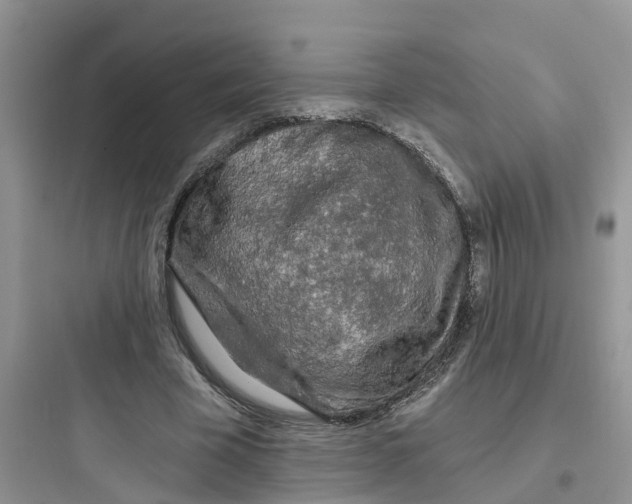 X0000097650585200803211857