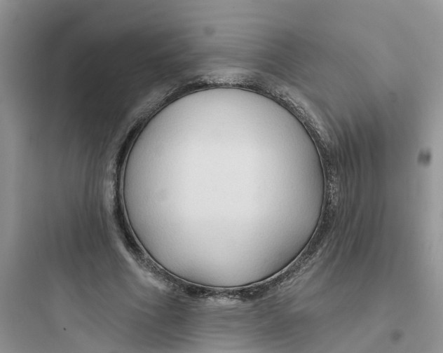 X0000097650586200803211857