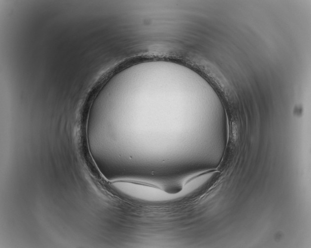 X0000097650588200803211857