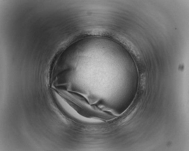 X0000097650589200803211857