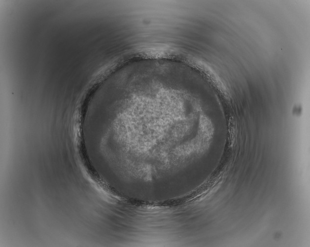 X0000097650590200803211857