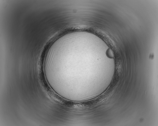 X0000097650591200803211857