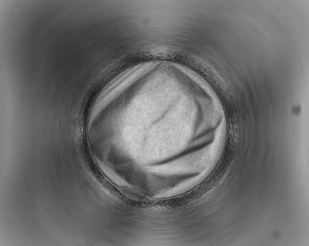 X0000097650593200803211857