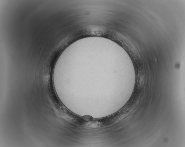 X0000097650595200803211857