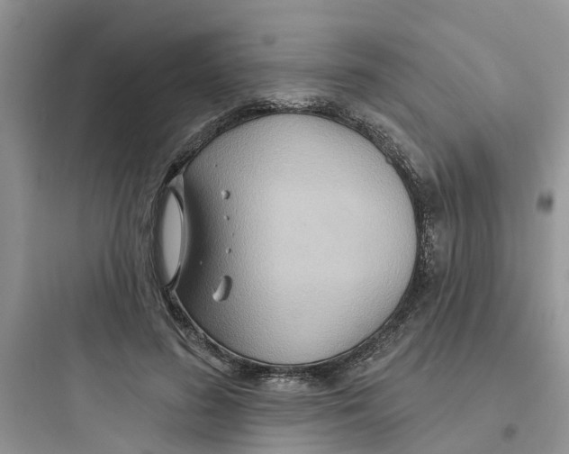 X0000097650596200803211857