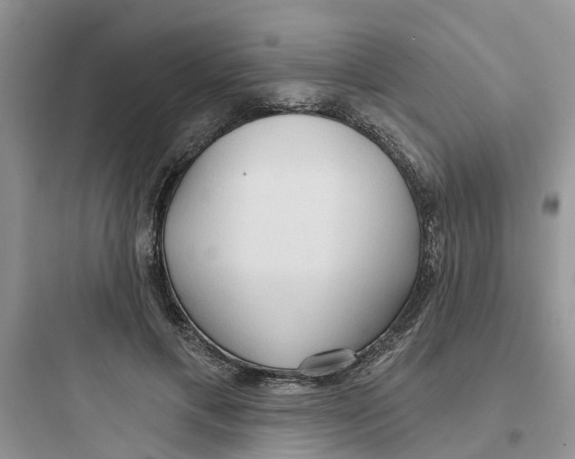 X0000097650597200803211857