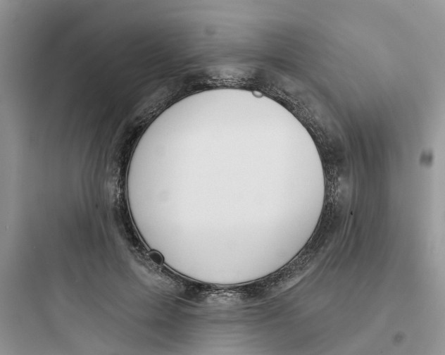 X0000097650599200803211857