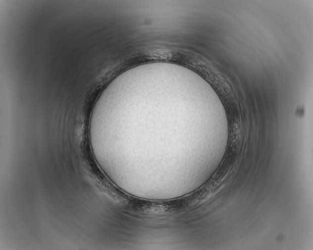 X0000097650600200803211857