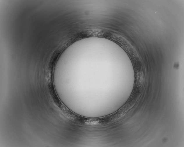 X0000097650602200803211857